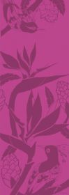 Birds of Paradise - Pink