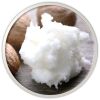 DR.HC All-Natural Hand Foot & Nail Stick (10g, 0.35oz) (Moisturizing, Dead Skin Removing, Damage Repair, Anti-aging...)