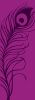 Peacock Feather - Purple