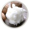 DR.HC Honeybebe’ Mama Nipple Soothing & Baby Healing Balm (100% Organic, Natural & Vegan) (40g, 1.4 oz.)