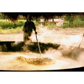 Jaggery, Organic Raw & Wholesome (Option: JAGGB-10B)
